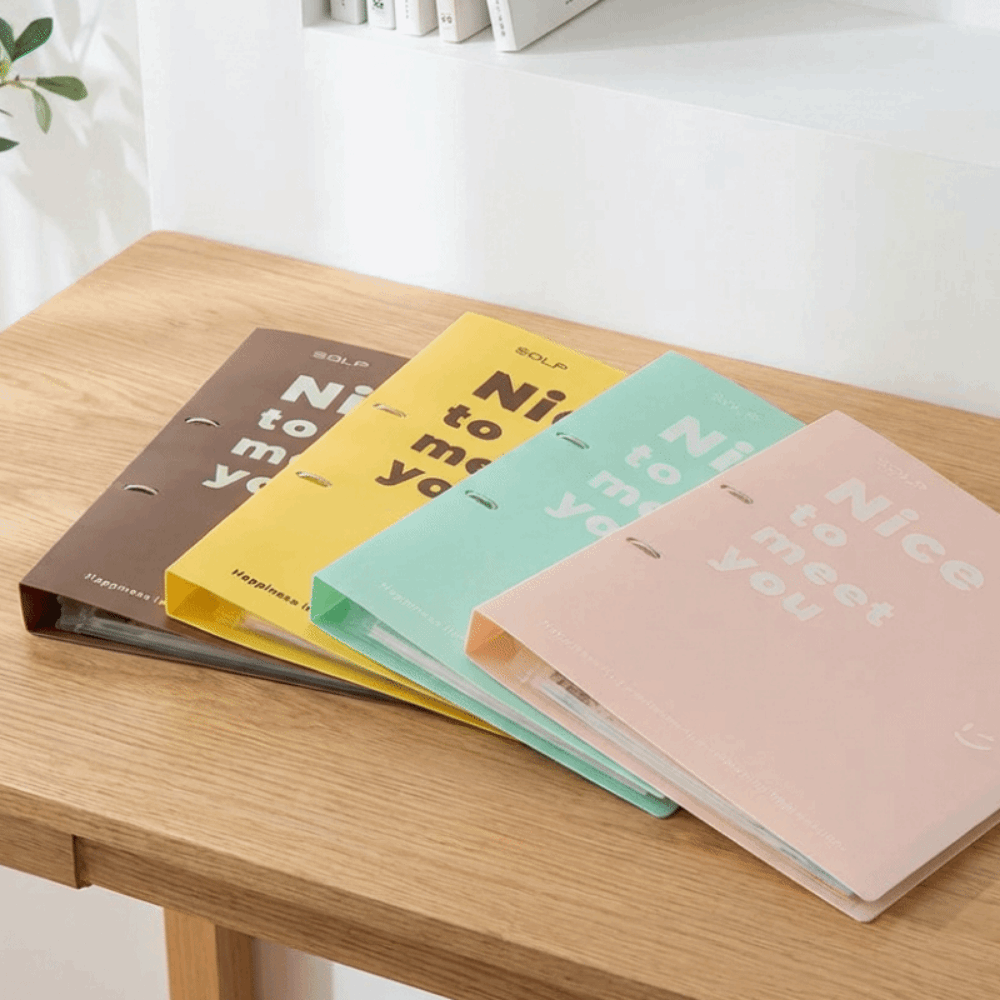 PP Loose Leaf File Bag Set Det - Binder Clip Assorted のレビューと価格