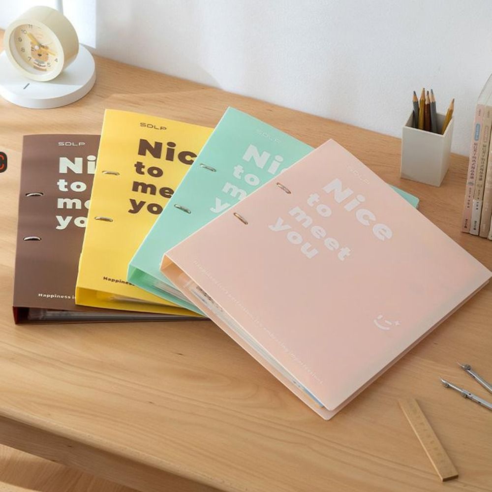PP Loose Leaf File Bag Set Det - Binder Clip Assorted のレビューと価格